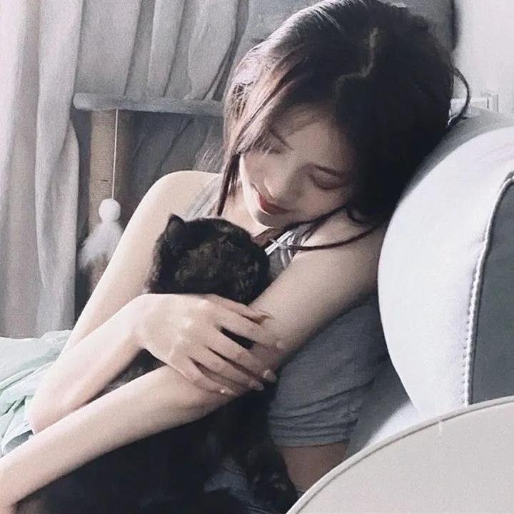 阿丽塔:战斗天使